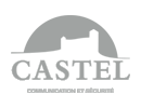 CASTEL logo